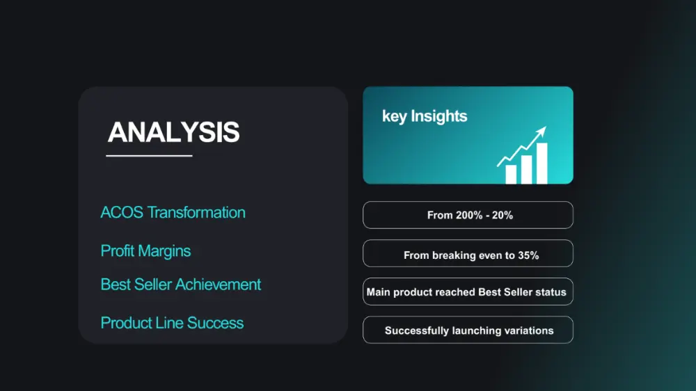 PPC launch case study 6