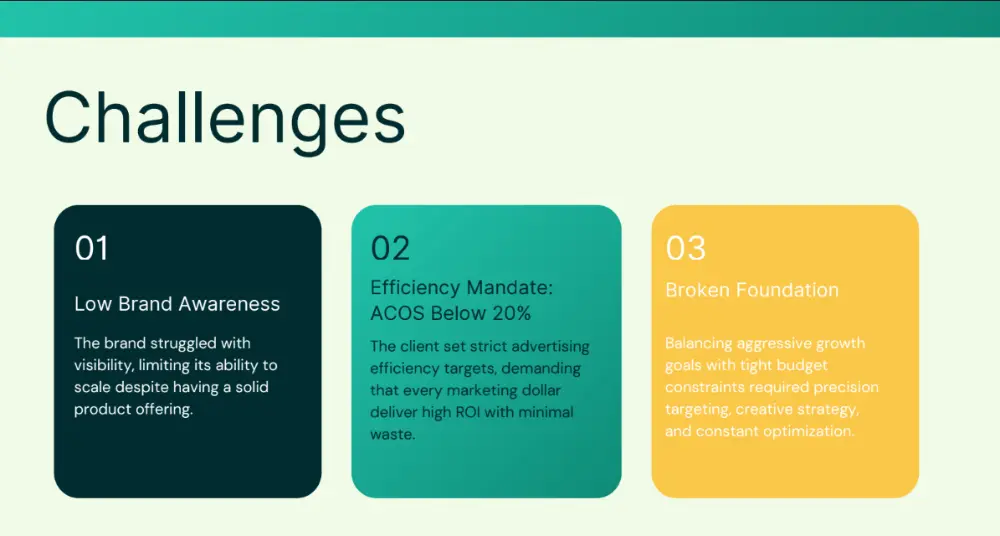 Brand awareness PPC case study 2
