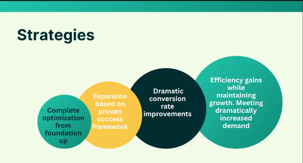 Brand management PPC case study 4
