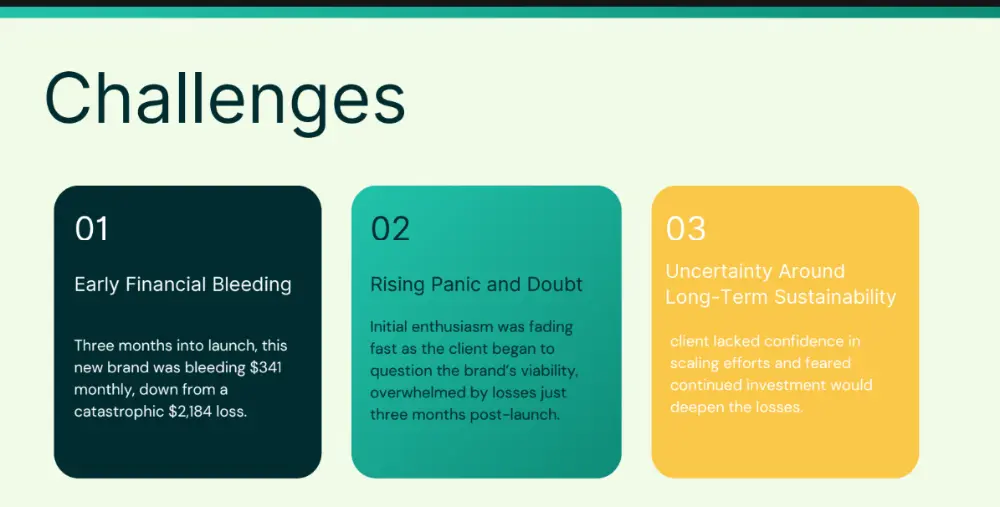 New product launch case study 2