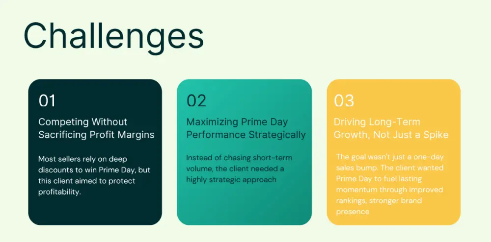 Prime Day PPC case study 2